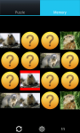 Funny Marmots : Loving Animals screenshot 4/6