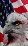 American Eagle Flag screenshot 2/3