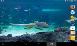 Amazing Underwater World screenshot 2/6