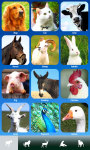 Zoola animals - Best animal app for kids screenshot 1/6