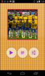 Brazil Worldcup Picture Puzzle screenshot 2/6