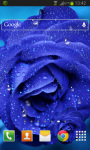 Blue Rose Drops Live Wallpaper screenshot 2/2