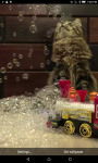 Cats And Bubbles Video Live Wallpaper screenshot 1/4