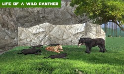 Panther Family Simulator screenshot 4/4