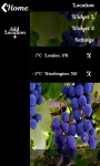 Grape Widget Clock Weather screenshot 2/6