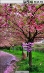 Sakura Flowers Scenery Live Wallpaper screenshot 3/4