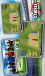 Cricket Play 3D - Live The Game  screenshot 3/6