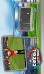 Cricket Play 3D - Live The Game  screenshot 4/6