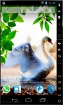 Lonely Swan Live Wallpaper screenshot 1/2