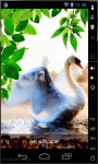 Lonely Swan Live Wallpaper screenshot 2/2