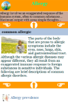 Allergy Diseases screenshot 3/3