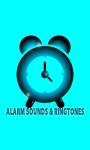 Alarm Sounds and Ringtones screenshot 1/3