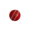Cricket News and Scores screenshot 1/1
