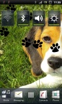 Cute Beagle Puppy Live Wallpaper screenshot 2/3