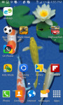 Fresh Water Koi Fish Swim Live Wallpaper screenshot 2/3