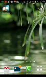 Scenic Live Pond and Nature Reserve screenshot 1/3