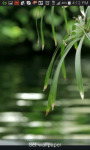 Scenic Live Pond and Nature Reserve screenshot 3/3