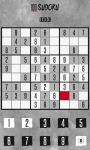 Sudoku 1001 Ad-Supported screenshot 6/6