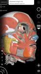 Sistema Muscolare Anatomia 3D plus screenshot 5/6