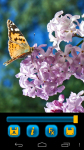 Butterfly Wallpapers free screenshot 3/5