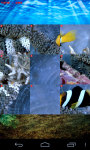 Fish Sliding Puzzle screenshot 3/3