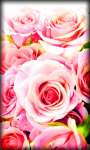 Roses Live Wallpaper Rose screenshot 4/6