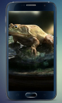 Frog Amazing Graphics LiveWP screenshot 1/3