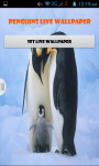 Penguins Live Wallpaper Best screenshot 1/4
