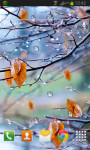 Autumn Raindrops Live HD screenshot 2/2