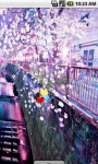 Sakura Blossom Flower Live Wallpaper screenshot 3/4