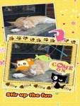 My Cat Photo Sticker Lite screenshot 3/5