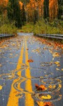 Autumn Rainy Road LWP screenshot 3/3