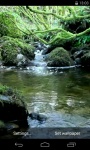 River and pond Video Live Wallpaper screenshot 1/4