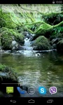 River and pond Video Live Wallpaper screenshot 2/4