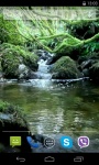 River and pond Video Live Wallpaper screenshot 3/4