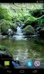River and pond Video Live Wallpaper screenshot 4/4