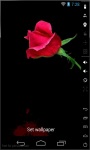 Crying Rose Live Wallpaper screenshot 1/2