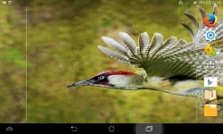 Amazing Wild Nature screenshot 3/6