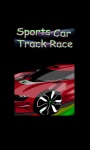 Sports Car Track Race screenshot 1/1