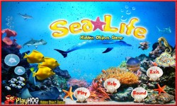 Free Hidden Object Games - Sea Life screenshot 1/4