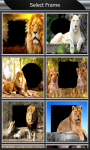 Lion Photo Frames screenshot 2/6