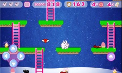 Easter Bunny - Rabbit Hunting Egg Cute Game 4 Kids screenshot 3/5