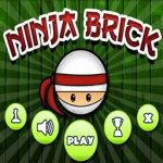 Ninja Brick Mania screenshot 1/3