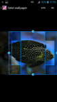 Free Aquarium HD Backgrounds screenshot 3/4
