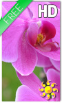 Pink Orchid Live Wallpaper HD screenshot 1/2