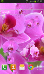 Pink Orchid Live Wallpaper HD screenshot 2/2