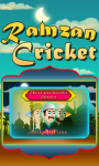 Ramzan Cricket - Java screenshot 2/4