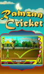Ramzan Cricket - Java screenshot 3/4