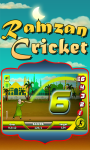 Ramzan Cricket - Java screenshot 4/4