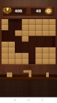 Woody Block Puzzle 2024 screenshot 3/4